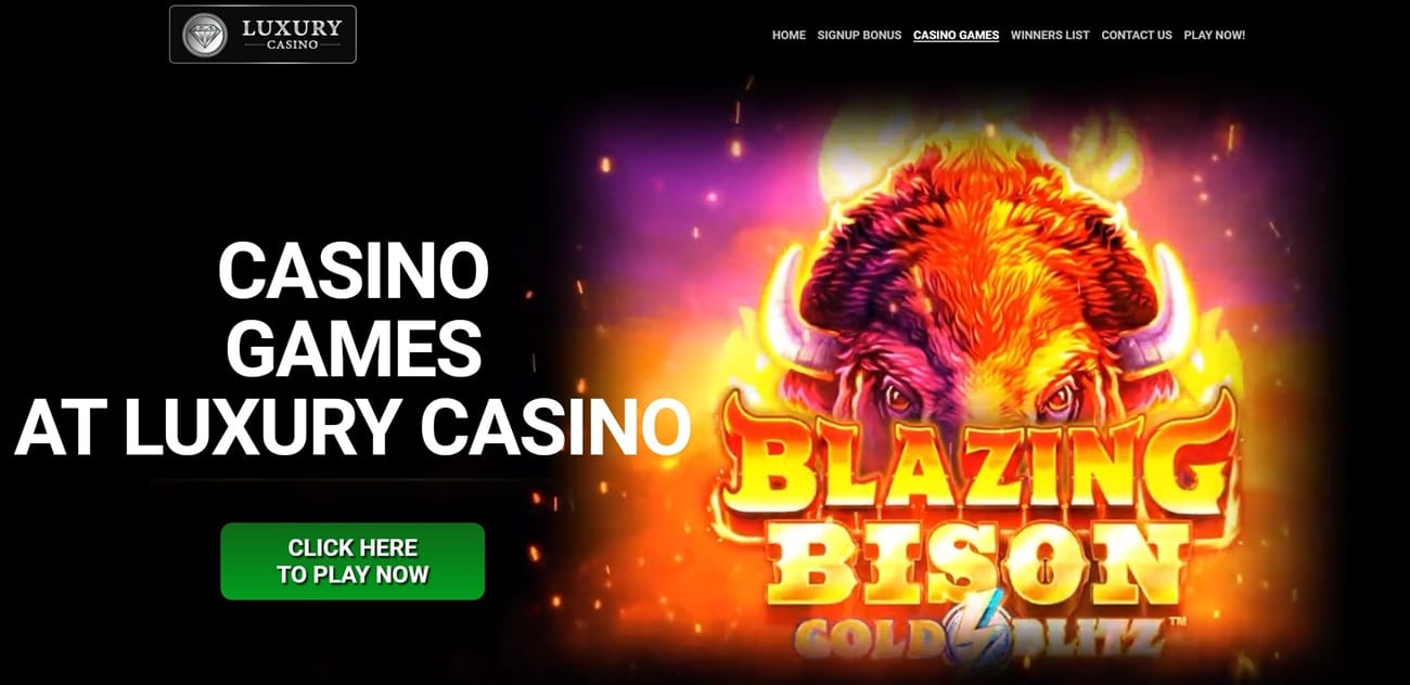 online_casino22